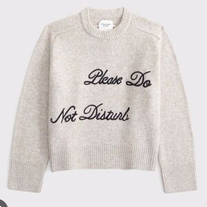 Abercrombie & Fitch Women's Madeline Crew Sweater Please Do Not Disturb